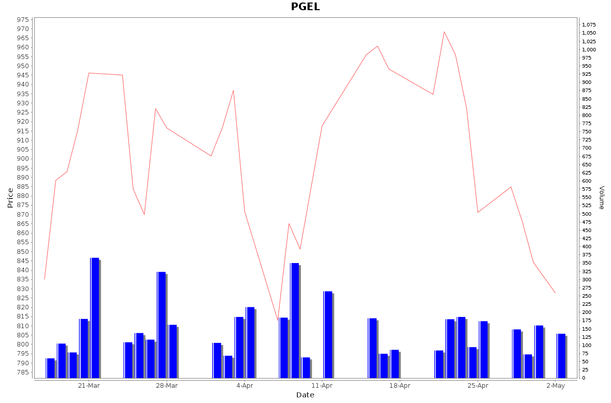 PGEL Daily Price Chart NSE Today