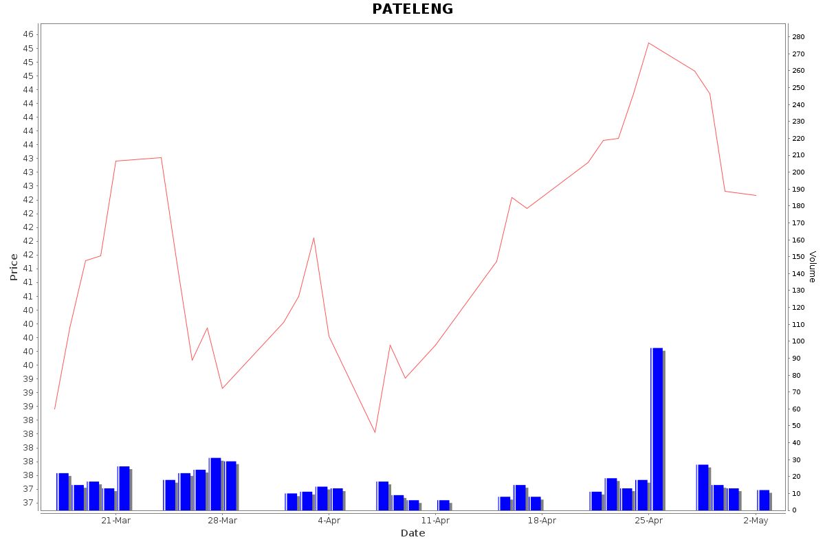 PATELENG Daily Price Chart NSE Today